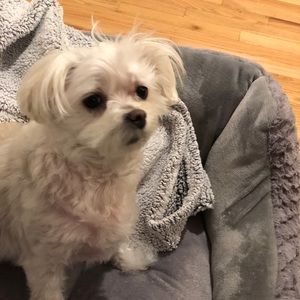 Meet your Posher, Tim